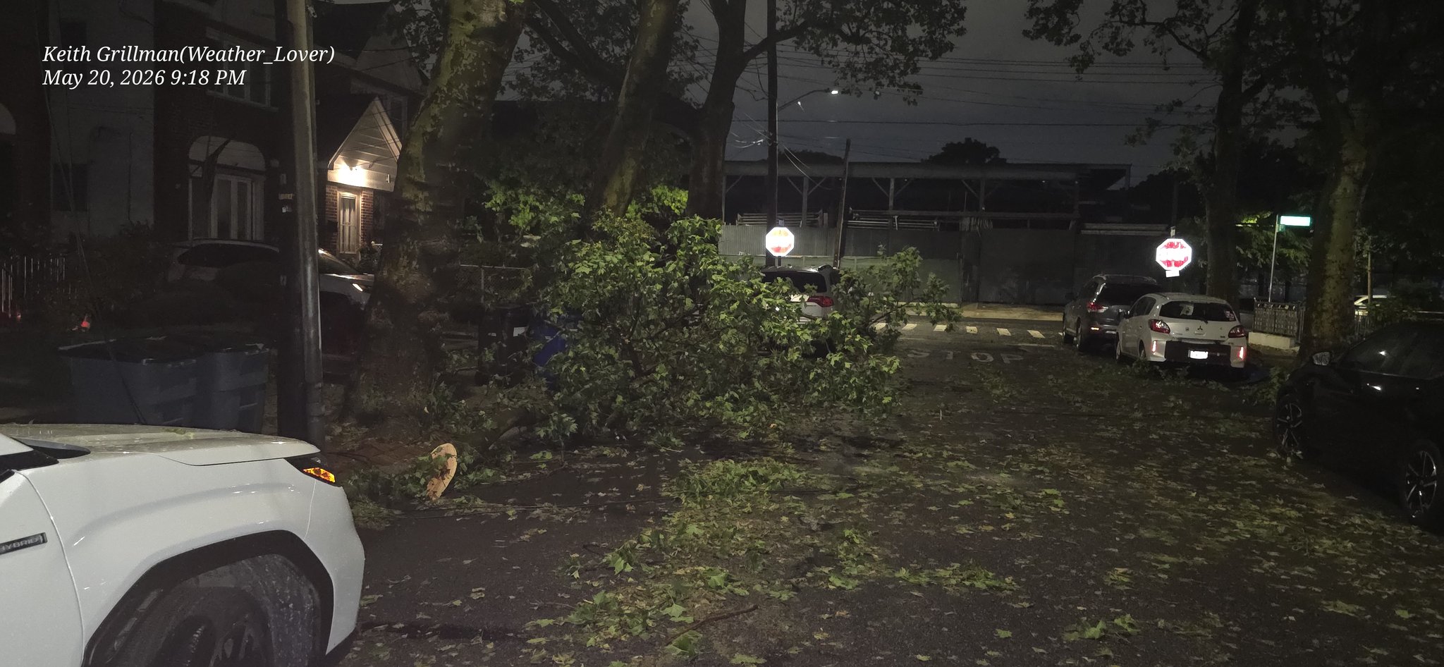 Downed tree branches and power lines in Ozone Park