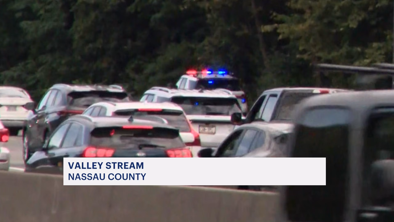 Teen Killed on Southern State Parkway After Wandering From Elmont Special Needs School
