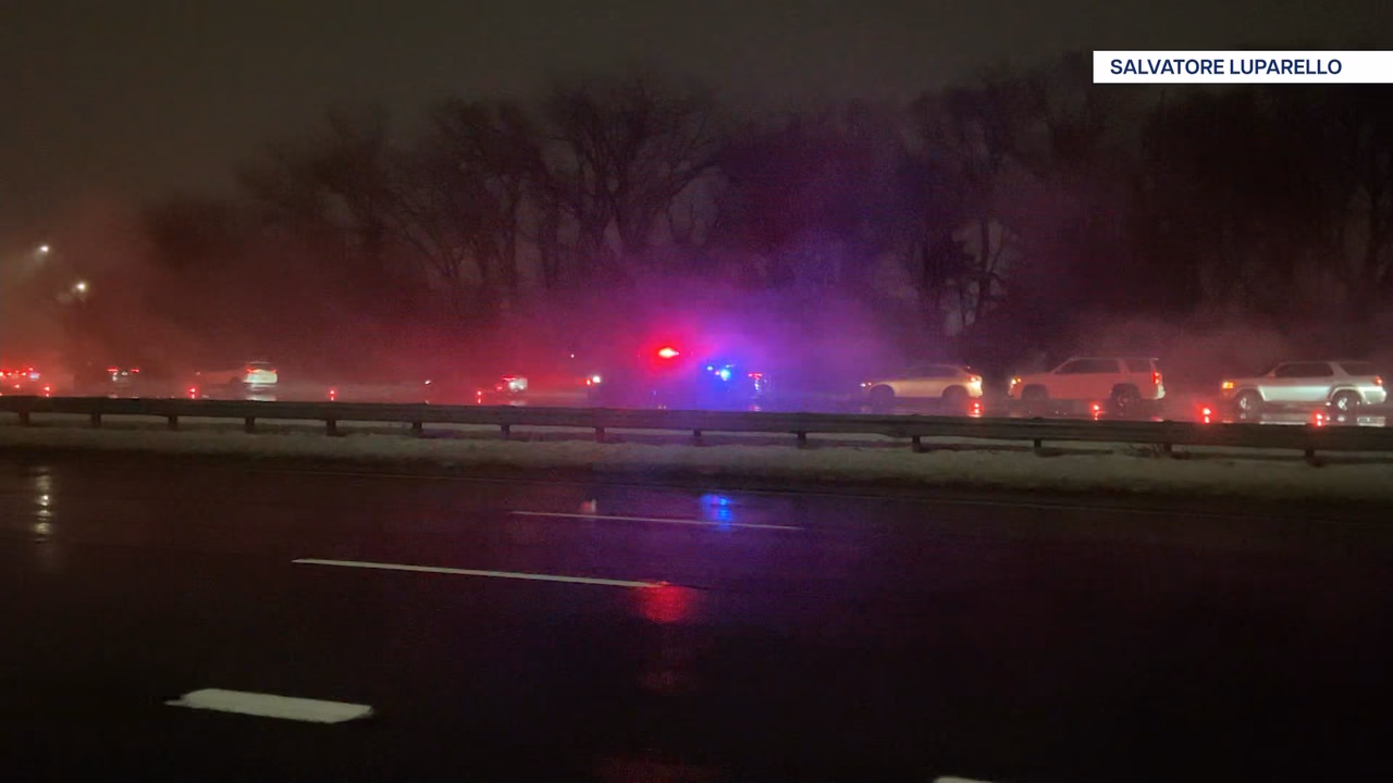 20-Year-Old Ejected and Killed in Single-Car Crash on Southern State Parkway in North Massapequa