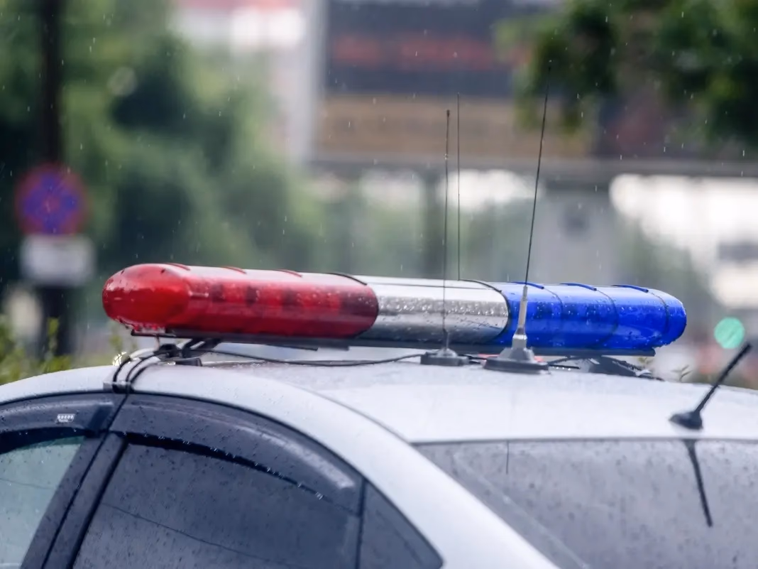 Girl, 12, Struck by Acura SUV on Carman Mill Road in Massapequa