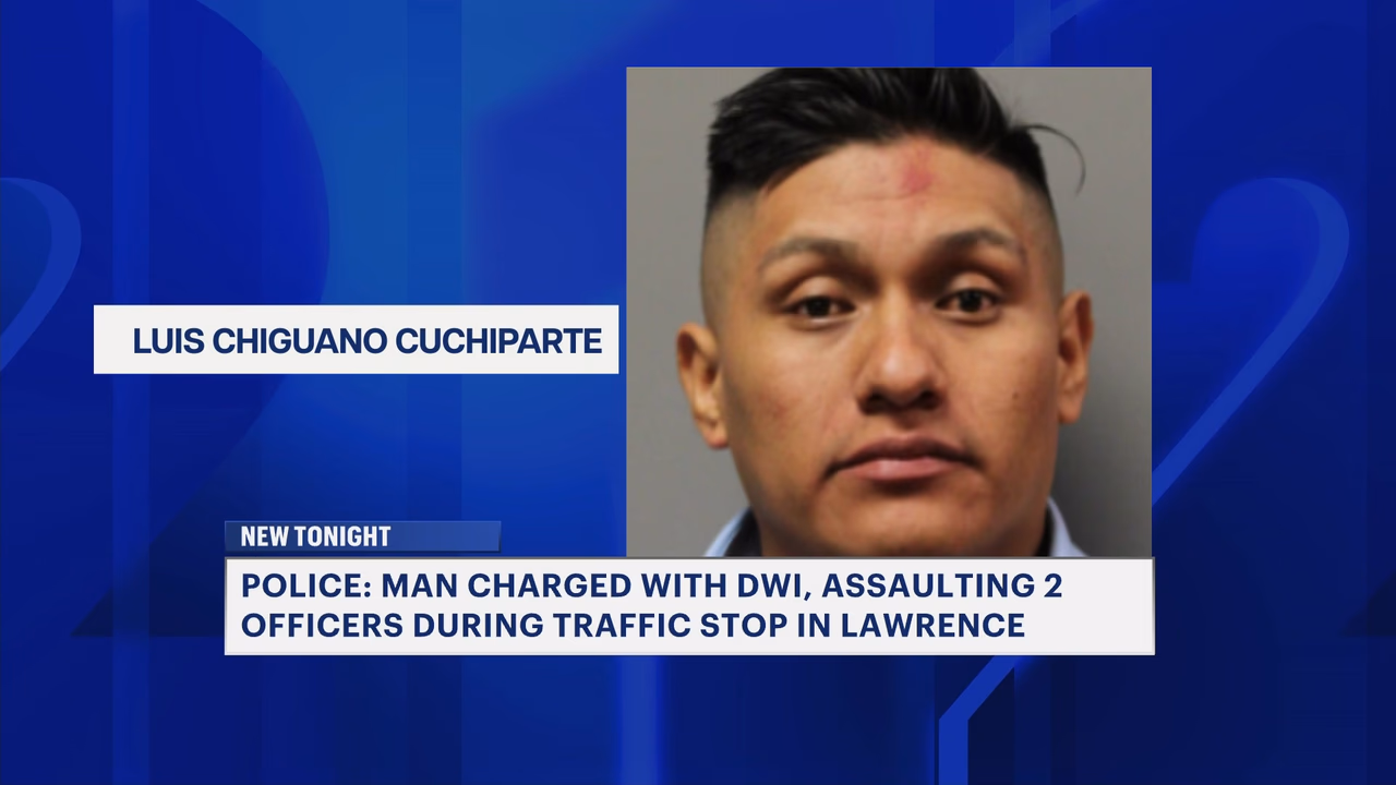 Luis Chiguano Cuchiparte of Brooklyn Arrested for Assaulting Nassau Officers Near Nassau Expressway