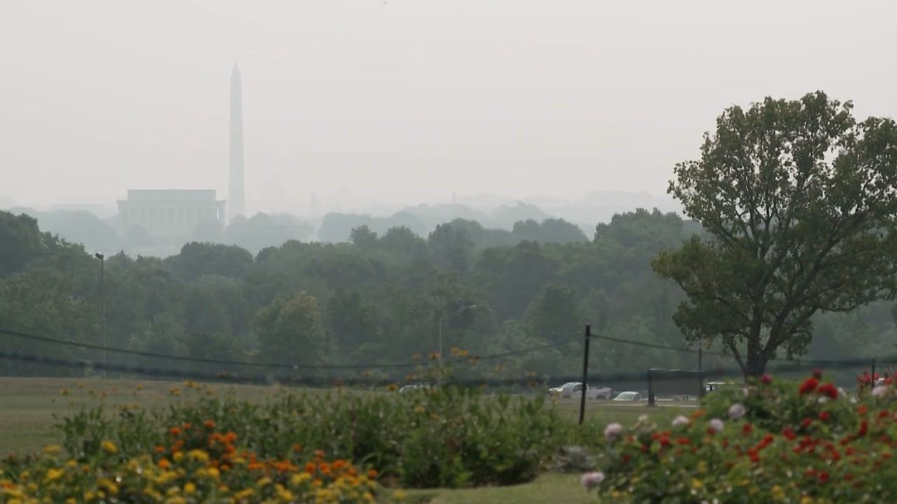 Wildfire Smoke and Extreme Heat Threaten Heart Health Across Long Island