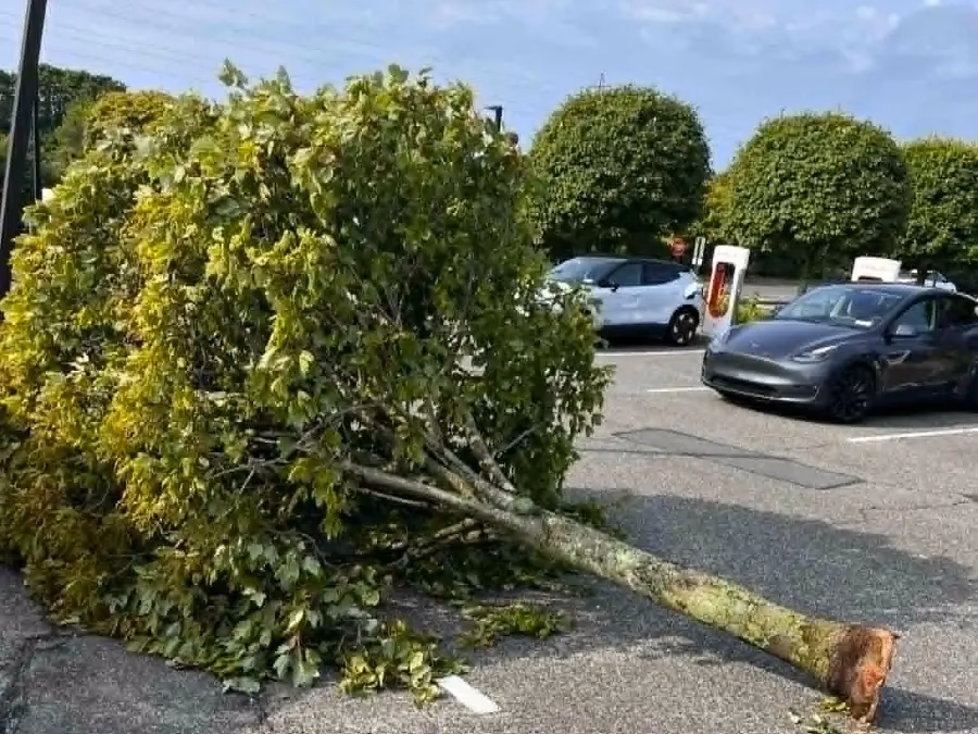 July 4 Storm Leaves 3,245 Without Power Across Southampton Town, Multiple Road Closures in Hampton Bays
