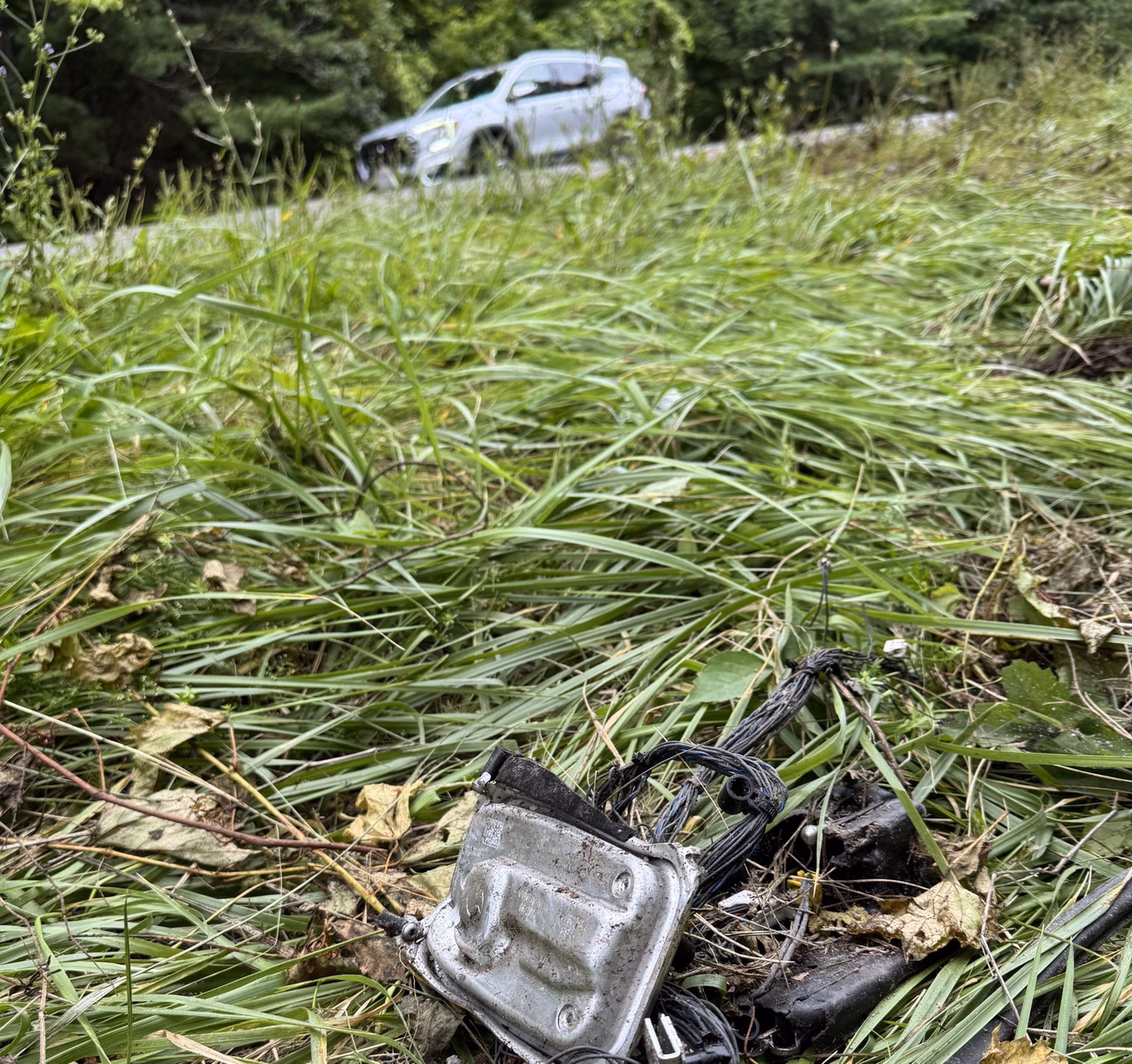 Peter Bonenfant, 19, of Smithtown Killed in Head-On Crash on Route 28 in Shokan