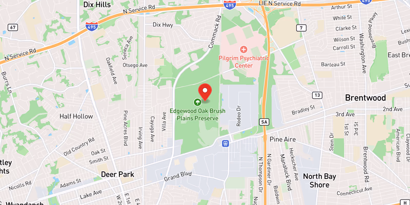 Map showing incident location at 40.7800, -73.3000