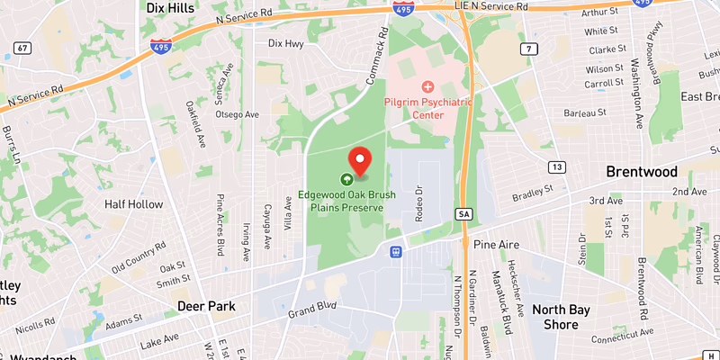 Map showing incident location at 40.7800, -73.3000