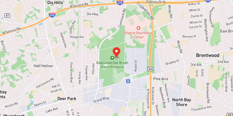 Map showing incident location at 40.7800, -73.3000