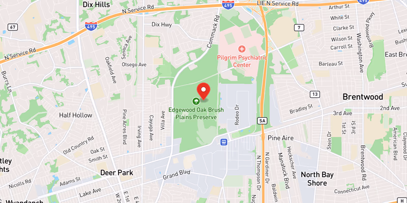 Map showing incident location at 40.7800, -73.3000