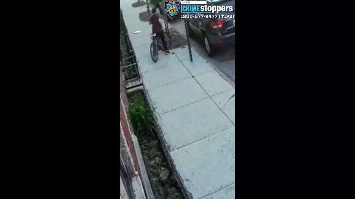 NYPD Searching for Woman Who Tried to Lure 10-Year-Old Into Van With Candy in Astoria, Queens